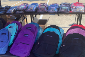 backpack drive